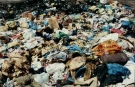 Plastivida discute Reciclagem Energtica