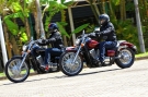 Shadow 750 2011