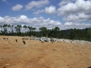 Aterro sanit�rio em Ewbanck da C�mara