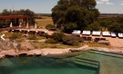 FASANO LAS PIEDRAS