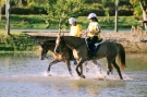Enduro Equestre - 1 etapa
