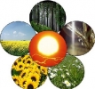  Bioenergia e e Biodiesel