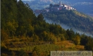 Tempo de trufas