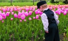  Tempo de flores