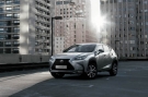 LEXUS marca presena em Campeonato Mineiro de kart