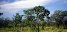Parceria incentiva aes corporativas de conservao da natureza