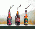 Trs cervejas ideais para degustar neste outono